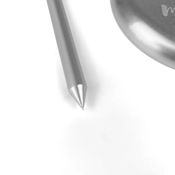MySpike 25cm (For Large Ovens)