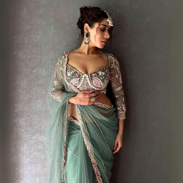 Party wear saree